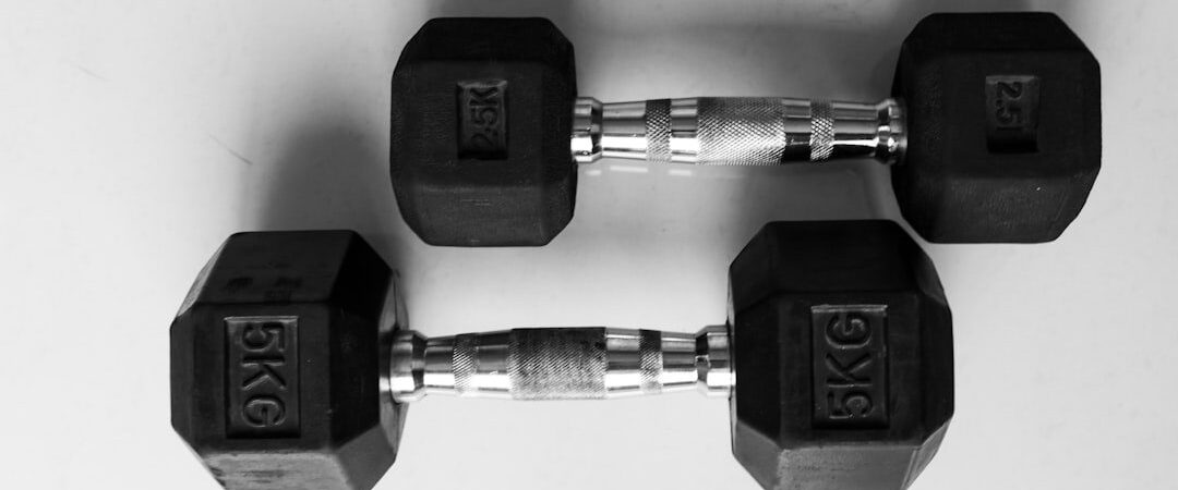 Best Dumbbells Under $500 in 2026