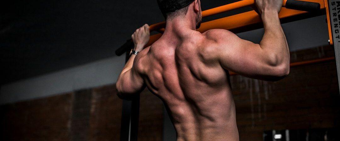 Best Pull Up Bar for Home 2026